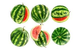 吃瓜无限看,揭秘娱乐圈幕后真相