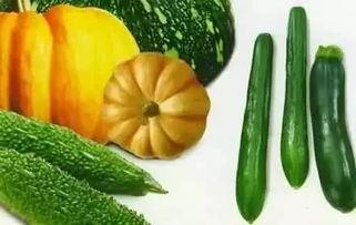 吃瓜相随,跟随潮流，揭秘娱乐圈幕后故事