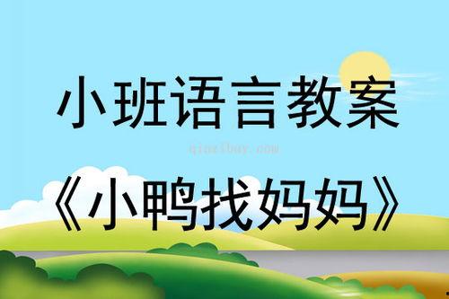 宝宝吃瓜教案反思,探索幼儿饮食教育的实践与感悟
