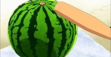 重庆带你吃瓜,跟随“带你吃瓜”探索山城风味