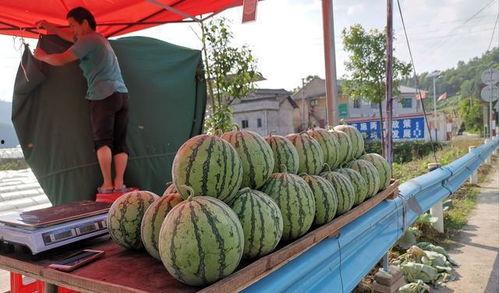 介休热门吃瓜事件,揭秘当地热门吃瓜事件背后的真相