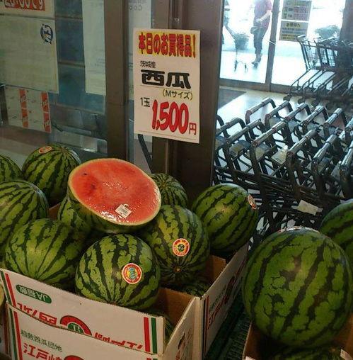 自由吃瓜头像微信,解锁微信个性新潮流