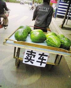 卖蛤蟆吃瓜,一场别开生面的卖蛤蟆吃瓜奇遇记