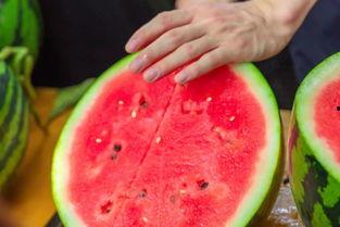 海南大学最新吃瓜,最新“吃瓜”事件揭秘