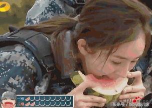 深夜豪放吃瓜,揭秘豪放吃瓜背后的故事