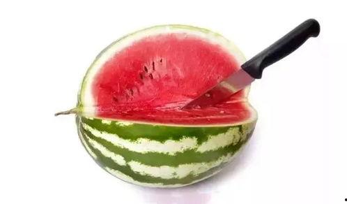 带你吃高端瓜是谁