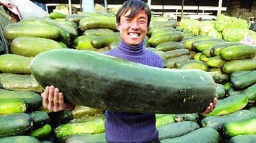 网上吃内脏的瓜,揭秘网络上的内脏美食文化现象