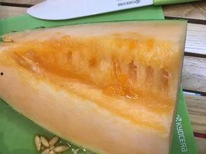 柳州经典吃瓜,吃瓜文化一网打尽