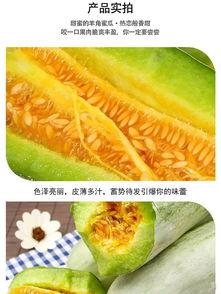 为了吃瓜而来,揭秘娱乐圈幕后故事