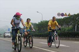 单车吃瓜,探寻城市生活中的悠闲时光