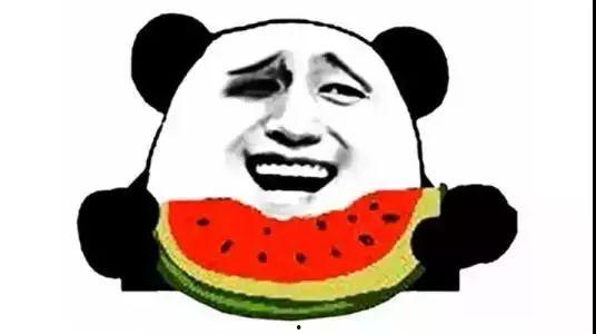 找瓜吃的猹图片