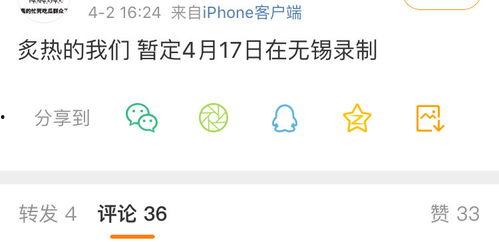 吃瓜录视频素材