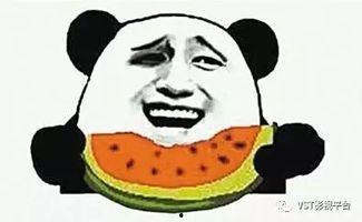 疯狂吃瓜版